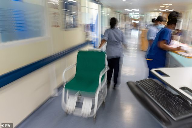 ‘Instead of saving people, the health system is now killing them’: NHS doctor reveals how every day in A&E ‘is like a war zone’ as he tells of 8-hour waits even in ‘quiet’ summer months and warns patients to get private medical cover if they can afford it This is a file photo dated January 18 of a general view of staff on a NHS hospital ward, with staff working