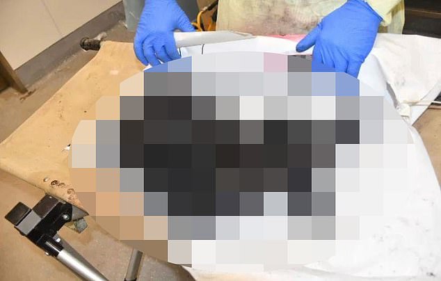 Israel releases images of babies murdered and burned by Hamas as ‘verified photos’ of others beheaded by terrorists are ‘confirmed’ by local media and rescue team reveals pregnant woman ‘had child sliced from her womb’ One appalling photograph released by Israel shows the blackened and charred bodies of a baby killed by Hamas terrorists