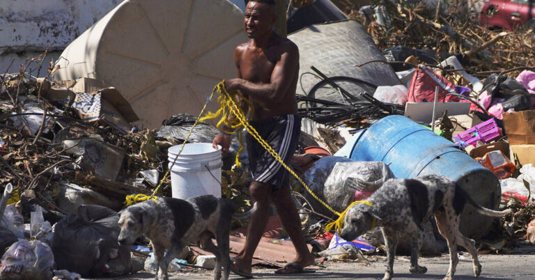 Cockroaches and Mountains of Trash Plague Acapulco After Hurricane Cockroaches and Mountains of Trash Plague Acapulco After Hurricane