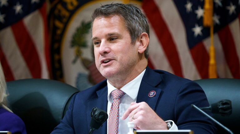 Kinzinger says Trump ‘learned’ political system’s weaknesses Kinzinger says Trump ‘learned’ political system’s weaknesses