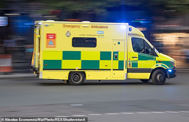 Paramedics left frustrated ‘sitting around with cups of tea’ if 999 calls go ‘unanswered’ in London due to lack of ambulances Dozens of ambulance crews in London are reportedly being forced to sit around unable to work due to a lack of available vehicles (stock image)