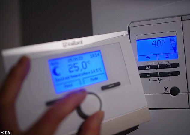 Warning highest energy bills ever will ‘cost lives’ this winter – as Ofgem reveals 5% rise in price cap Industry watchdog Ofgem yesterday announced a 5 per cent rise in the energy price cap from January 1, increasing the average annual bill by £94 to £1,928 (Stock Image)