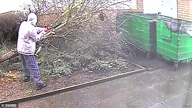 Homeowners’ horror as hooded man armed with axe hacks down beloved tree before stamping on birdfeeders during ‘scary’ five-hour outburst Residents were horrified when they looked outside and witnessed a man donning a tracksuit hacking down the tree with an axe - for five hours, they claim