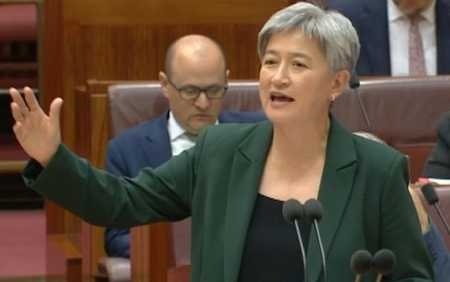 Penny Wong raises eyebrows as she addresses questions about whether Anthony Albanese will make another major tax change: ‘Tricky’ The Foreign Affairs Minister took a stand during a fiery Senate Question Time on Tuesday - the first of the year - amid suggestions her government could no longer be trusted after breaking a key election promise