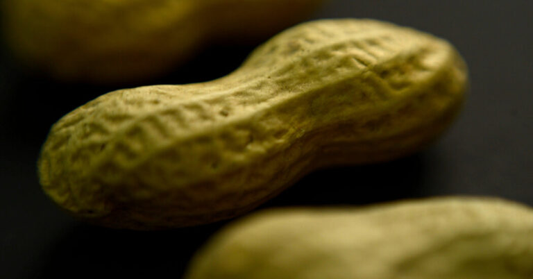 What to Know About Xolair and Food Allergies What to Know About Xolair and Food Allergies
