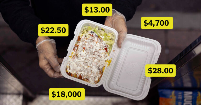 What’s Behind This $10 Chicken Over Rice? An $18,000 Permit. What’s Behind This $10 Chicken Over Rice? An $18,000 Permit.