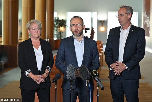 Greens Senator Barbara Pocock makes a VERY embarrassing mistake in front of Parliament – and is then forced to delete ‘disturbing’ tweet Senator Barbara Pocock (left, with Greens leader Adam Bandt) was relentless in her pursuit of answers over the payment which she said was 'worth 1,000 years of nurses' labour '