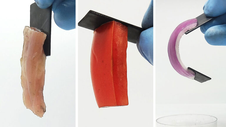 A bit of electricity can glue hard metals to soft materials a composite image showing a black metal rectangle glued to chicken, a tomato, and an onion