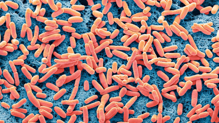 Scientists Say: Genetic Engineering Scientists Say: Genetic Engineering