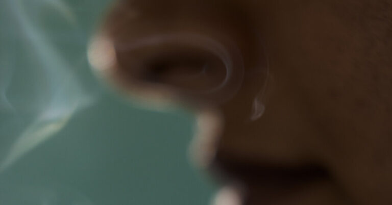 Improving Your Sense of Smell is Good for Your Brain Improving Your Sense of Smell is Good for Your Brain