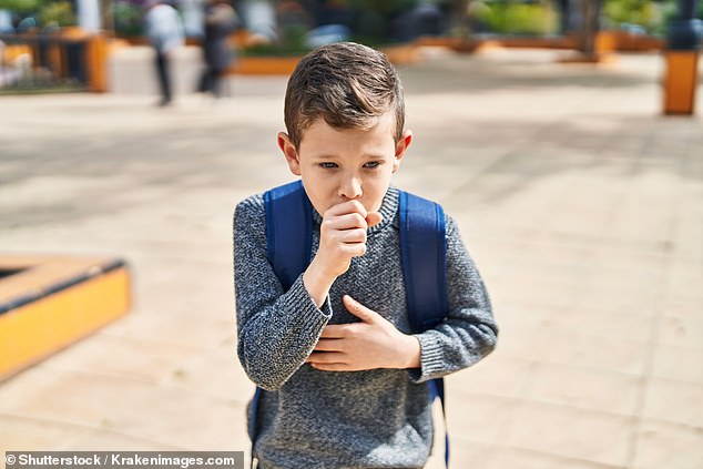 Alarming whooping cough outbreak dubbed ‘deeply concerning’ for children in Northwestern US state Pertussis spreads from person to person via droplets in the air from coughing or sneezing. Once in the body, the bacteria multiples and releases toxins into the respiratory system that cause tissues to swell, leading to the cough characteristic of the condition