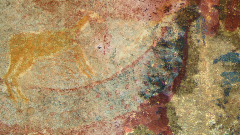 Fossils of an extinct animal may have inspired this cave art drawing Faded paint on a cave wall appears to show two creatures, one in yellow top left and one in more reds and blues, that create an animal with an elongated body and what appears to be tusks, in blue, near its head region.