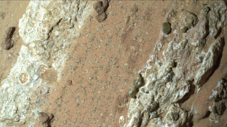 ‘Percy’, NASA’s rover, finds its first hint of ancient life on Mars An image of a rock on Mars taken by the NASA rover Perseverance. Rocky white stripes flank a clay-colored area that is speckled with dark spots.