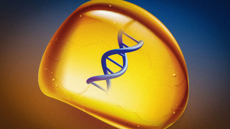 A Jurassic Park-inspired method can safely store data in DNA A close-up illustration of a translucent amber-colored rock with a DNA double helix held inside