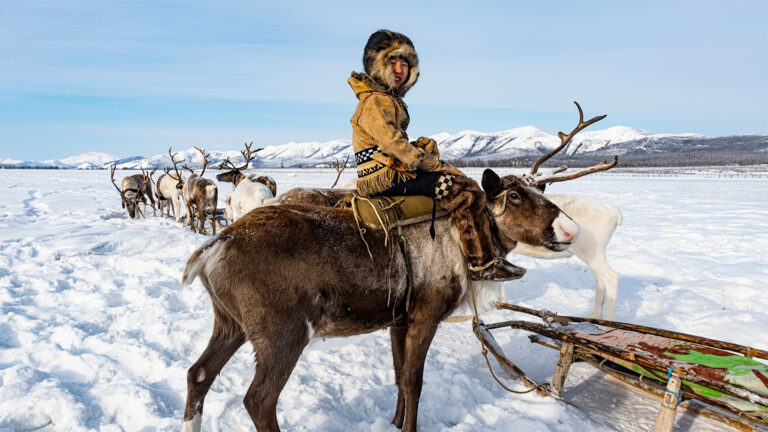 Navigation research often excludes the environment. That’s starting to change Evenki reindeer herders rely on environmental features to navigate.