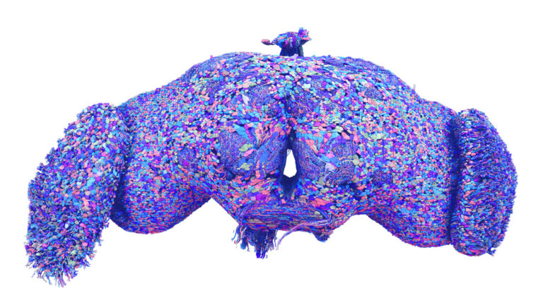 Here are 8 remarkable scientific firsts of 2024 Digital reconstructions of blue, pink and purple cells make up a fruit fly brain, which is on a white background.
