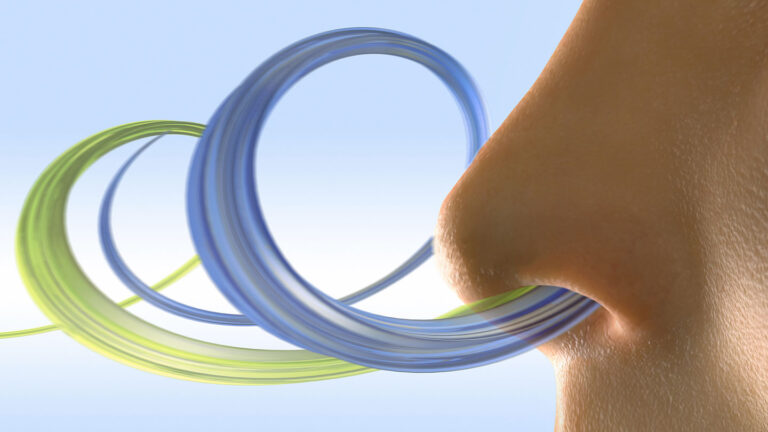 Your brain can perceive subtle odor changes in a single sniff a nose with two odors going in