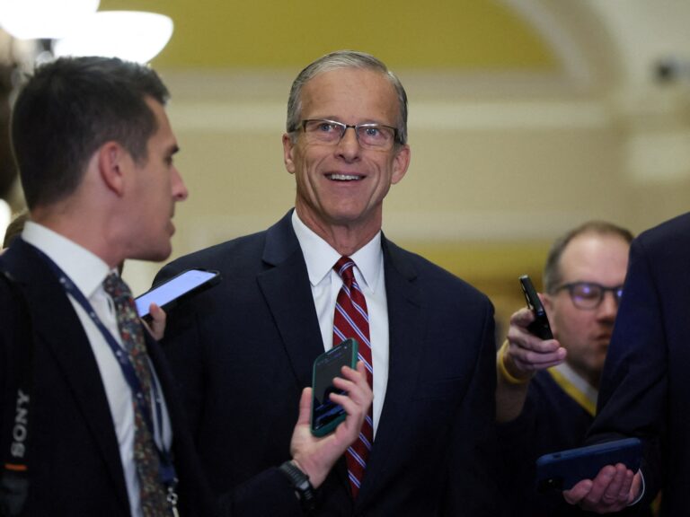 Republicans pick Thune over Trump loyalist as Senate majority leader | US Election 2024 News Republicans pick Thune over Trump loyalist as Senate majority leader | US Election 2024 News