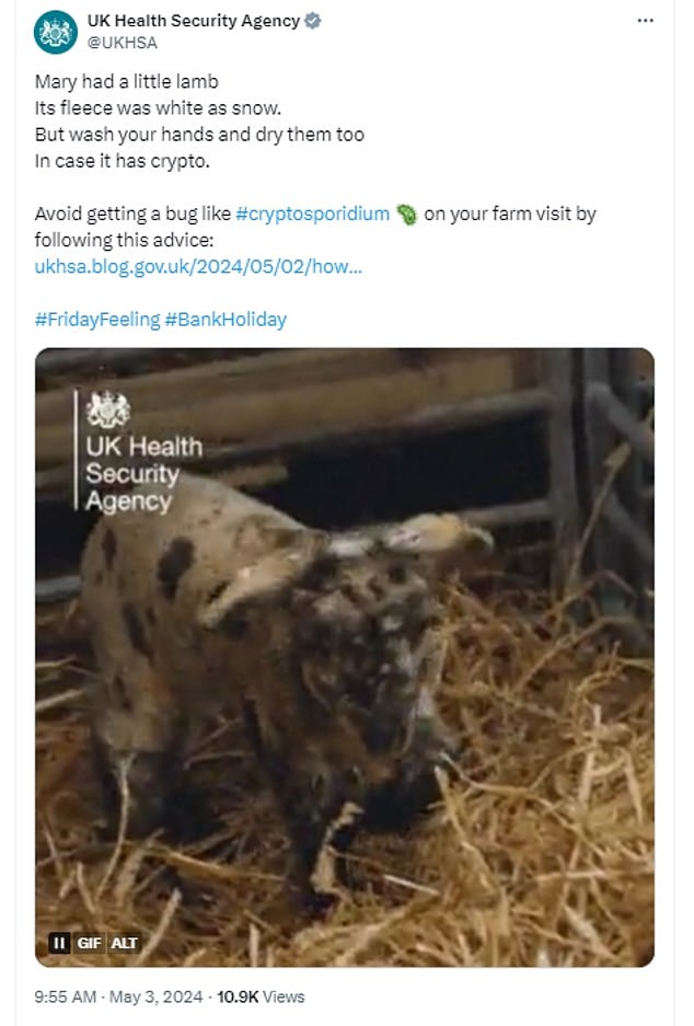 Urgent warning over UK’s largest outbreak of gruesome parasite that causes ‘bowel cancer-like’ symptoms UKHSA issued a warning about the risk of cryptosporidium infection from farm visits earlier this month