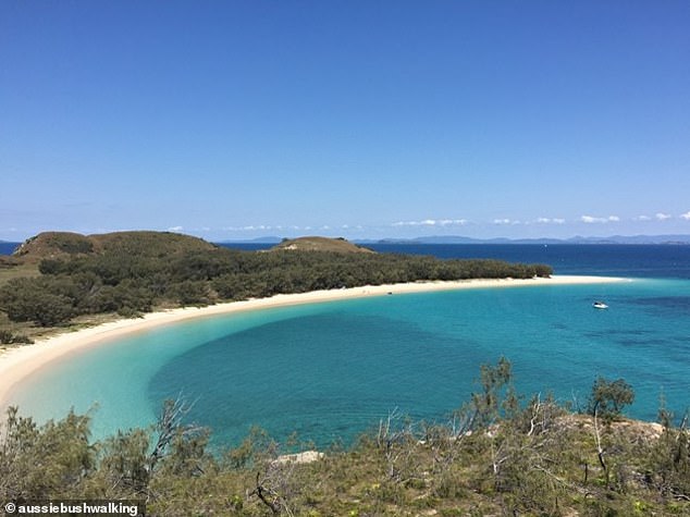 Horror as fisherman dies in shark attack on one of Australia’s most scenic Great Barrier Reef islands A 40-year-old man has died after being bitten on the neck by a shark off Humpy Island in the Keppel Bay Islands National Park, about 18km off the central Queensland coast on Saturday