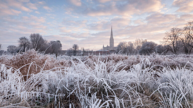 Scientists Say: Frost Quake Frost-covered grasses fill the ftont of a landscape with a building silhouette and dramatic clouds in the background.