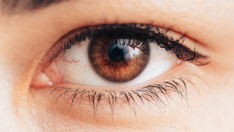 6 Common Habits That Could Be Damaging Your Vision A close-up image of a brown eye with black eyelashes.