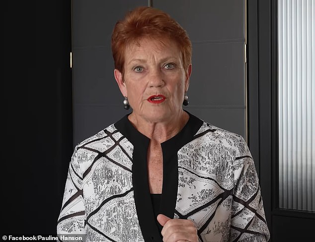 Pauline Hanson’s generous offer to Barnaby Joyce after he was filmed rolling around on the pavement – as she lets slip that it still stands Pauline Hanson has revealed she invited former deputy prime minister Barnaby Joyce to join One Nation after he was filmed rolling around on the pavement