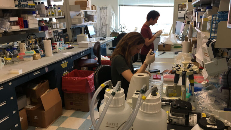 Who are the indirect costs of NIH research? We talked to 3 Two people conducting research at a laboratory bench.