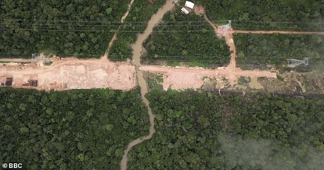 Eight-mile stretch of Amazon forest is felled… to build four-lane highway for COP30 climate summit Eight-mile stretch of Amazon forest is felled... to build four-lane highway for COP30 climate summit