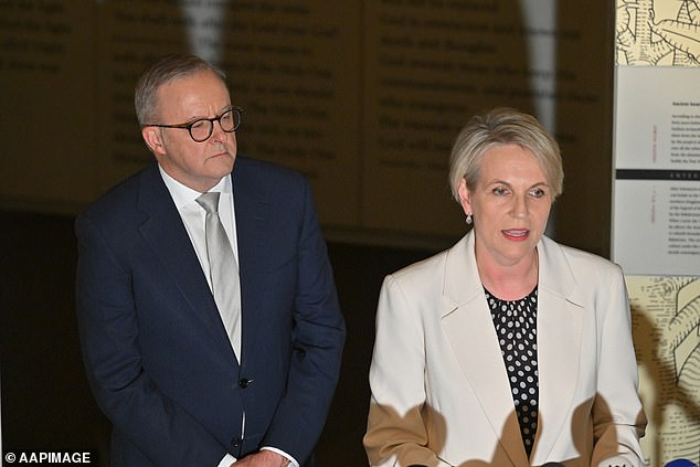‘Labor insider’ delivers a scathing verdict on Albo as Prime Minister – as a shock Cabinet pick is tipped to replace him: ‘Intellectual buffoon’ An anonymous 'Labor insider' has allegedly unloaded on Anthony Albanese (pictured with Tanya Pilbersek), branding the Prime Minister 'weak', 'arrogant' and an 'intellectual buffoon'