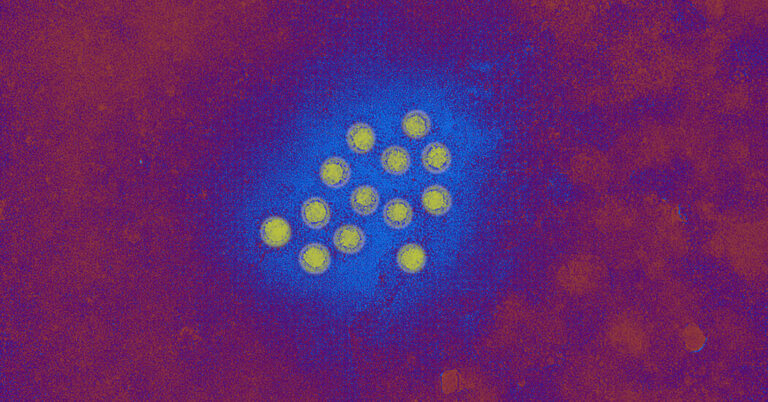 What to Know About the Hepatitis A Outbreak in L.A. County What to Know About the Hepatitis A Outbreak in L.A. County