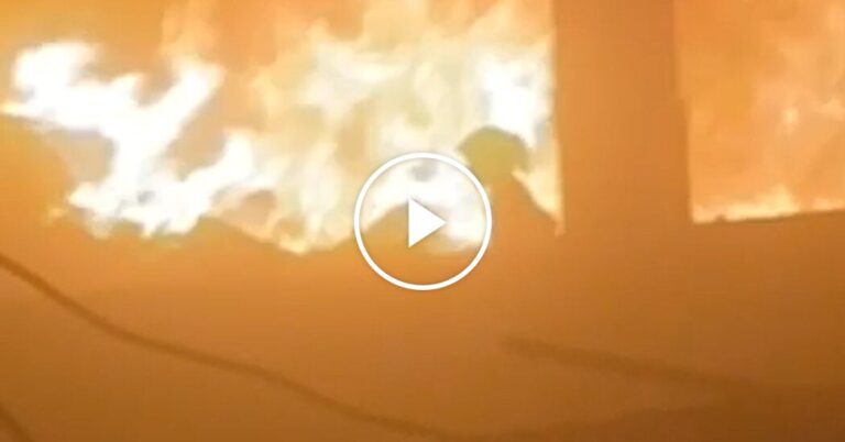 ‘Dear Girl, Get Out!’: A Young Palestinian Escapes an Israeli Strike ‘Dear Girl, Get Out!’: A Young Palestinian Escapes an Israeli Strike