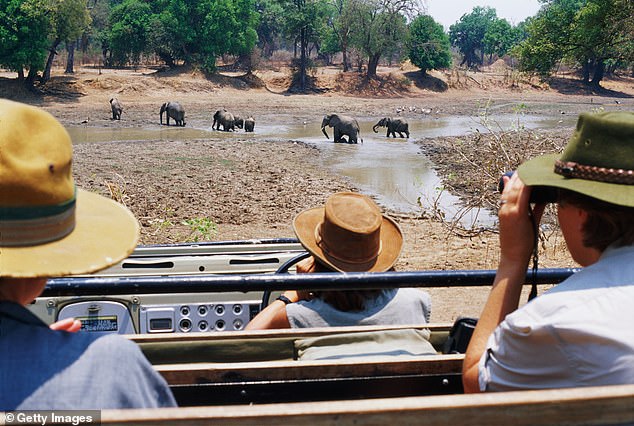 British tourist and her friend are killed by charging elephant during safari trip Eastern Province Police Commissioner Robertson Mweemba said the victims, a 68-year-old and a 67-year-old, were attacked by a female elephant that was with a calf at South Luangwa National Park (pictured)