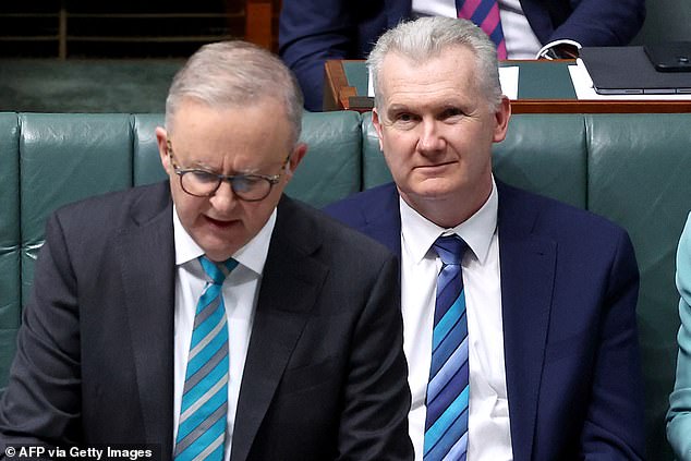 PETER VAN ONSELEN: Tony Burke’s childish and VERY rehearsed attack on Israel’s Netanyahu will have consequences for Australia Home Affairs minister Tony Burke woke up this morning and chose to grab the headlines with a scathing blast at Israeli PM Benjamin Netanyahu