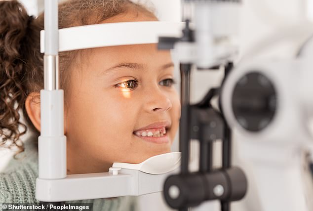 People living in heavily polluted areas face higher risk of irreversible medical condition, study warns Researchers in China found environmental pollution contributed to myopia, or nearsightedness, in children (stock image)