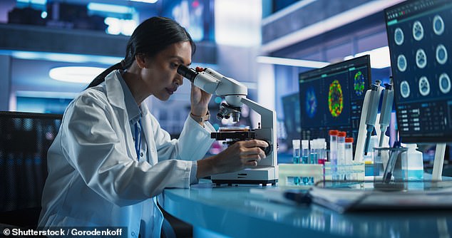Scientists discover common food additive could be key to unlocking cure for multiple brain diseases Stanford University researchers discovered the food additive xanthan gum may prevent brain models called organoids from separating, helping them study neurological disorders (stock image)