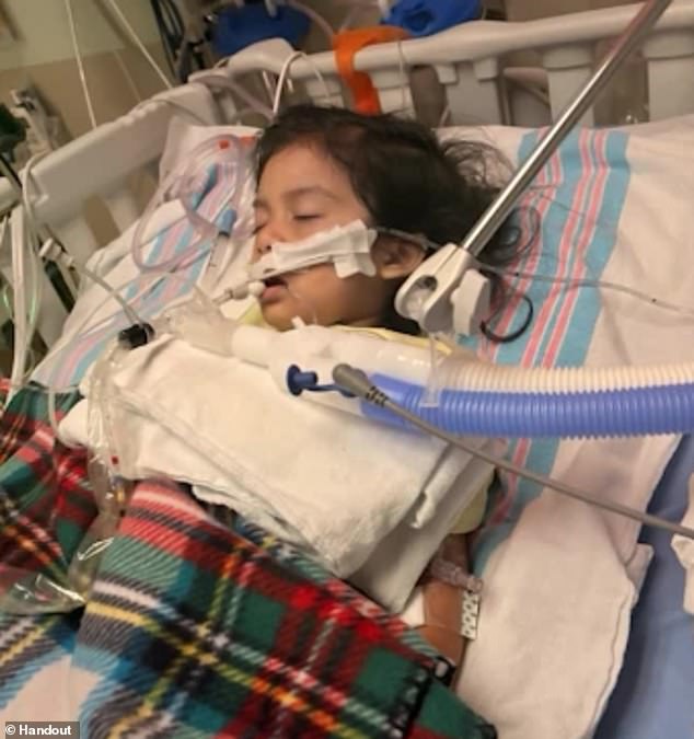 New ‘super’ virus has origins in unexpected place, study finds… as researchers warn flu season is going to get worse Pictured above is Sarah Lopez, 2, who was hospitalized and had to be placed on a feeding tube and ventilator after she caught the flu