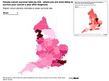 Where in the UK you’re LEAST likely to survive cancer, revealed in stark new NHS data – use our map to find out how YOUR area ranks Where in the UK you're LEAST likely to survive cancer, revealed in stark new NHS data - use our map to find out how YOUR area ranks